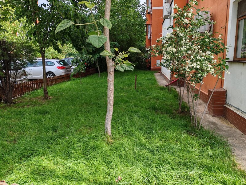 Popesti Leordeni, 8 minute pana la metrou, 69 mp, direct proprietar